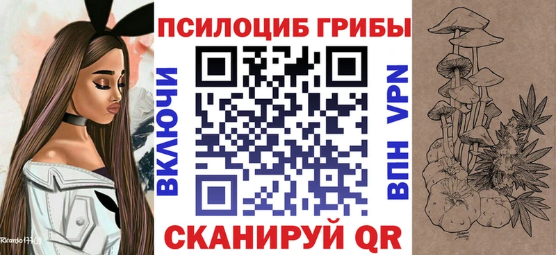 Псилоцибиновые грибы мицелий  Кинешма 